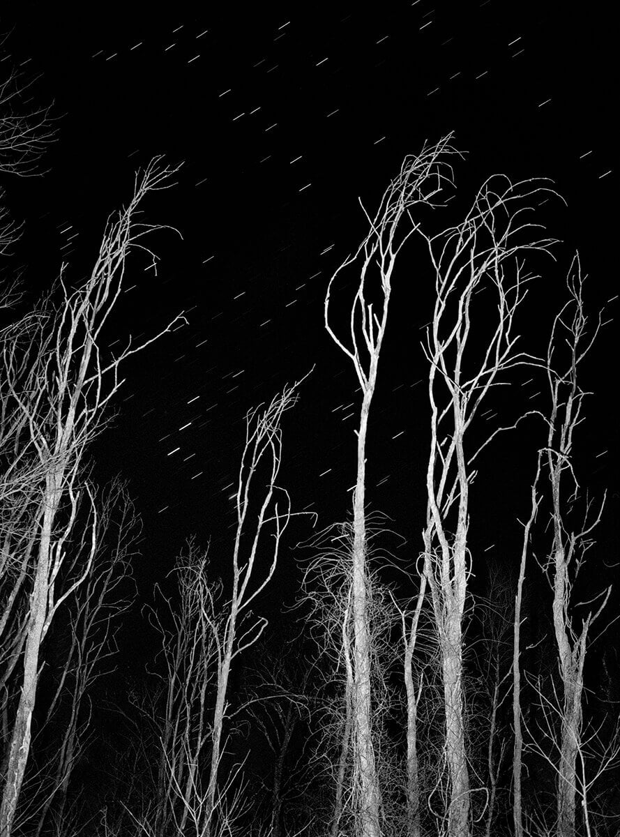 Sleep Creek, Dylan Hausthor & Paul Guilmoth