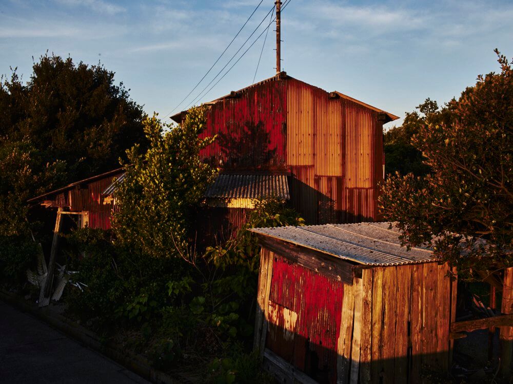 Shed Nemurushima