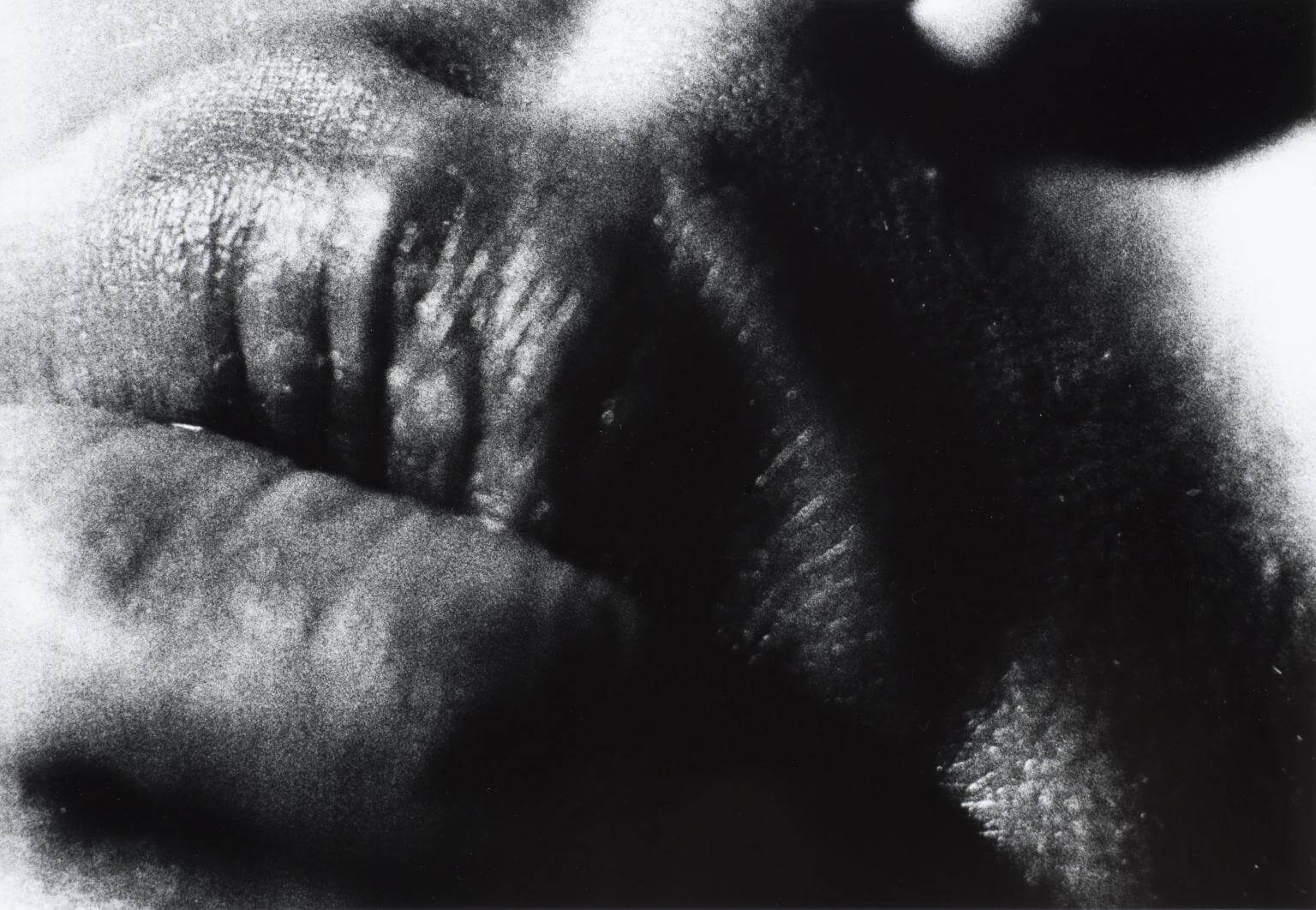 Farewell Photography, 37, Daido Moriyama