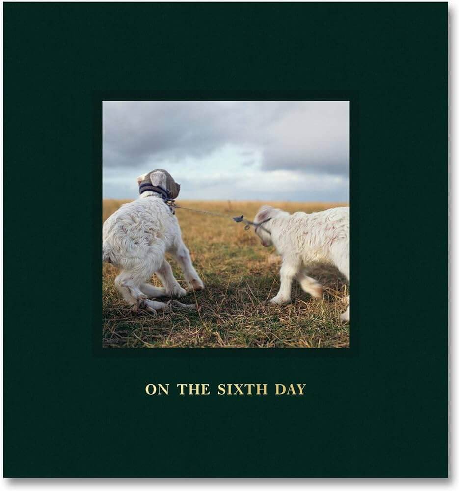 Alessandra Sanguinetti, On THe Sixth Day, frontcover