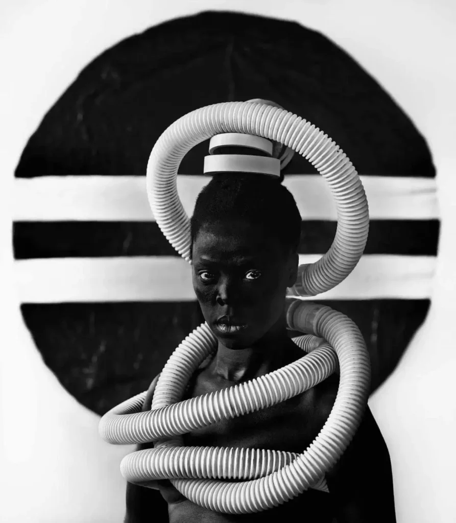 Zanele Muholi, Somnyama Ngonyama