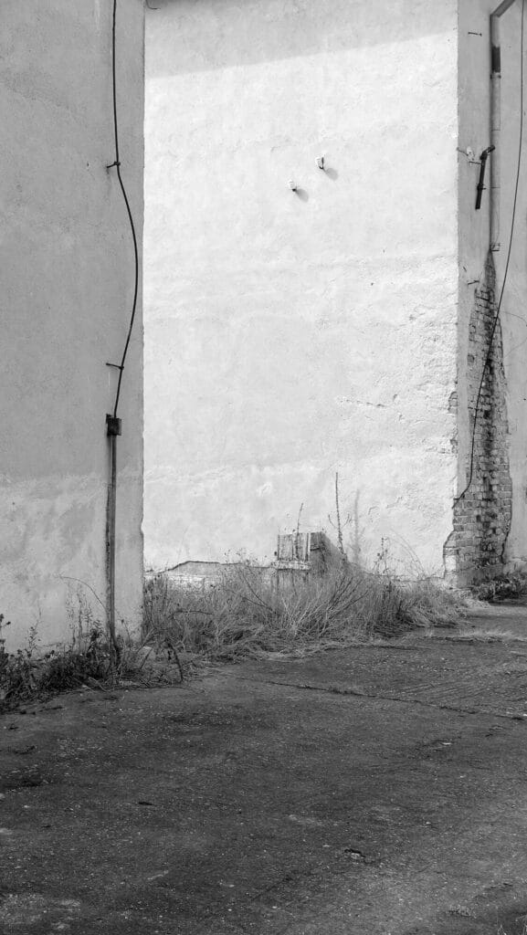 Hristina Tasheva, Far Away From Home
