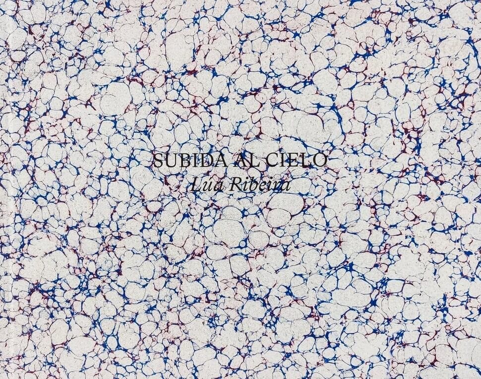 Frontcover Subida al cielo