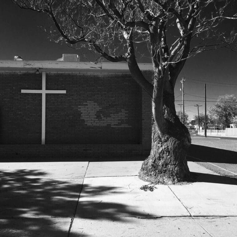 Diana Matar, My America
