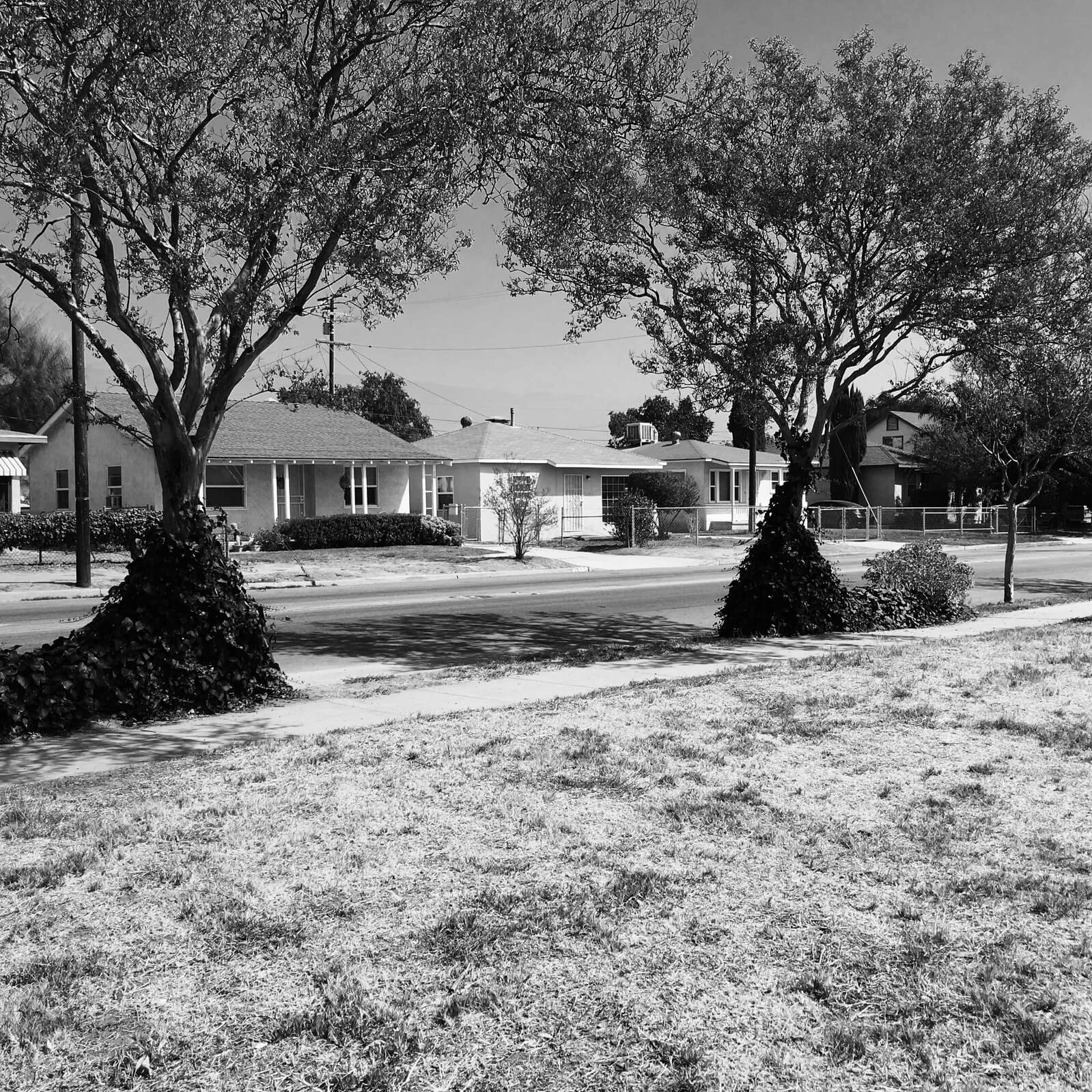 Diana Matar, My America