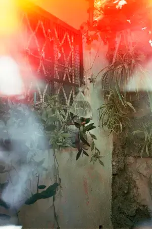 Barbara Debeuckelaere, 'Om (Mother)