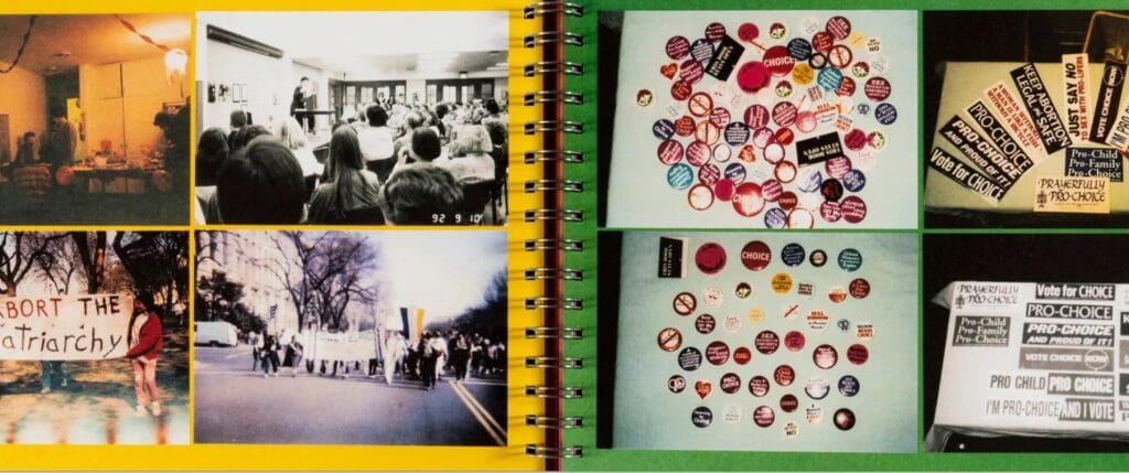 Carmen Winant, The Last Safe Abortion